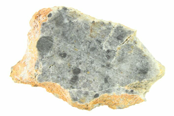 Lunar Meteorite ( g) Slice - Bechar #291717